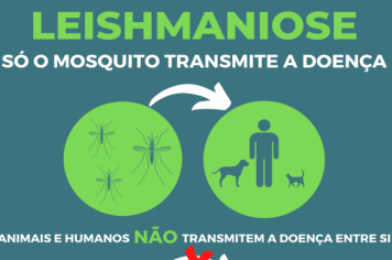 SEMANA DE COMBATE A LEISHMANIOSE DE 09/08 À 14/08.