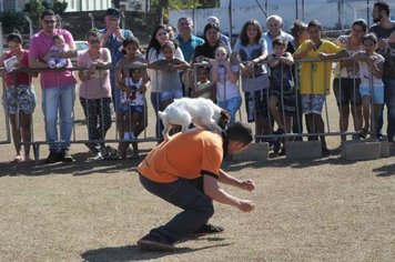 Prefeitura promove Dia da Causa Animal