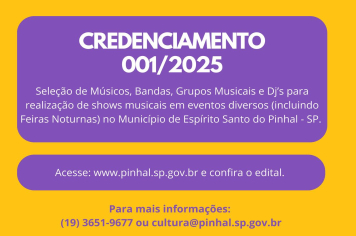 Músicos, Bandas, Grupos Musicais e Dj’s