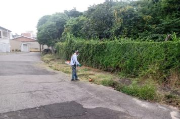 LIMPEZA DO ENTORNO DO BOSQUE MUNICIPAL 