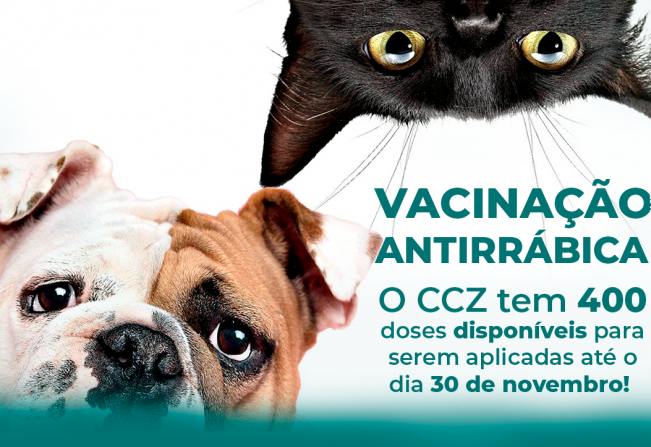 A vacinação antirrábica é obrigatória por lei, mas é mais do que uma obrigação, é um ato de cuidado e amor com seu pet.