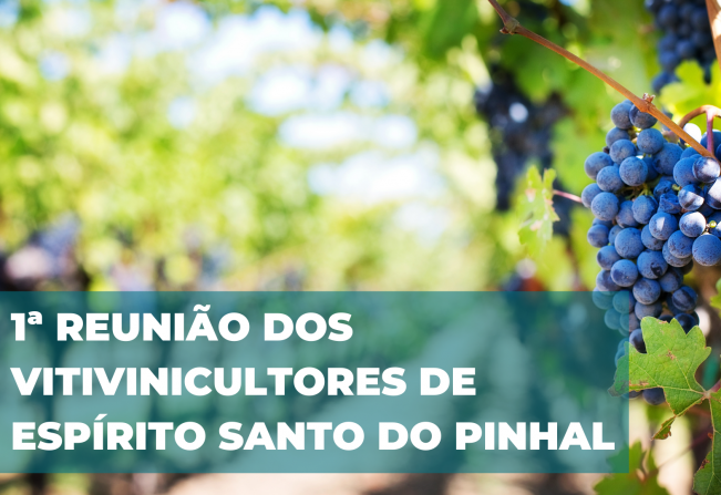 Na noite desta segunda-feira, 19/07, aconteceu a primeira reunião da Administração Municipal com os Vitivinicultores de Espírito Santo do Pinhal