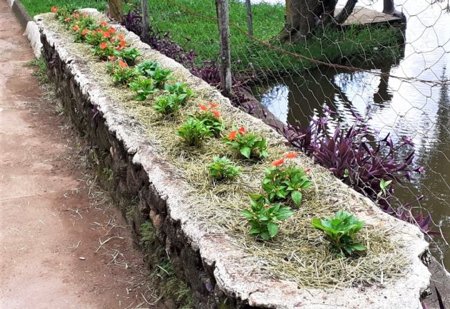 PREFEITURA MUNICIPAL REALIZA JARDINAGEM E PLANTIO DE FLORES NO LAGO MUNICIPAL, EM PARCERIA COM VINÍCOLA GUASPARI
