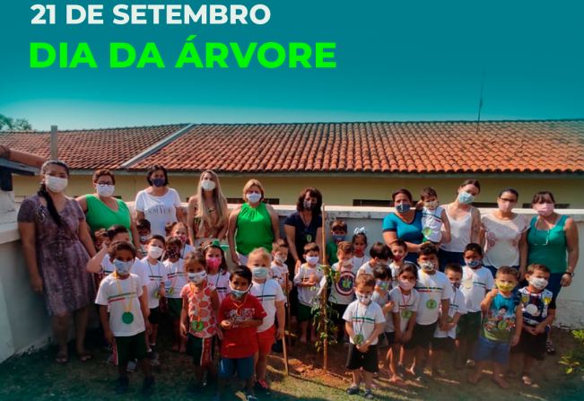 No dia 21 de setembro, comemora-se o Dia da Árvore em todo o território nacional