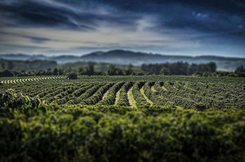 Foto - Espírito Santo do Pinhal