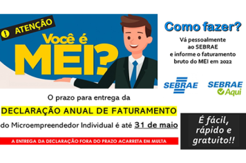 DECLARAÇÃO ANUAL DO MEI