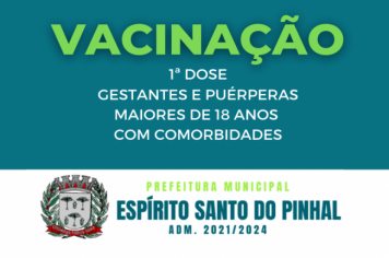 Vacinação de GESTANTES E PUÉRPERAS maiores de 18 anos com comorbidades.