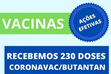 Recebemos 230 doses da Vacina Coronavac/Butantan