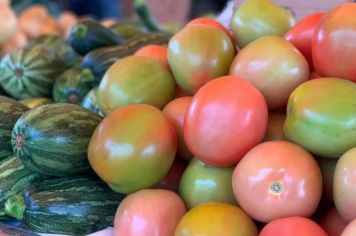 Com aferição de temperatura corporal e orientação sobre o uso de máscaras, 