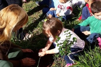 Alunos da rede municipal fizeram plantio de árvores