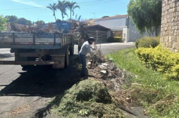 Coleta de restos de jardinagem