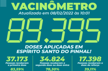 Vacinômetro
