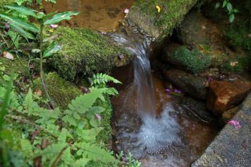 Departamento de Meio Ambiente incentiva cadastramento no banco de áreas do 