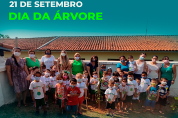 No dia 21 de setembro, comemora-se o Dia da Árvore em todo o território nacional