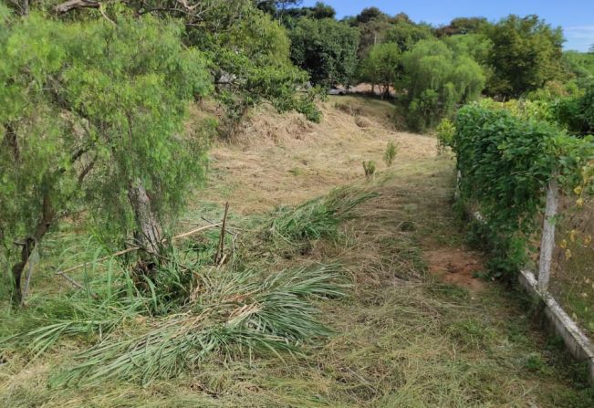 Limpeza, e roçagem Vila São Pedro