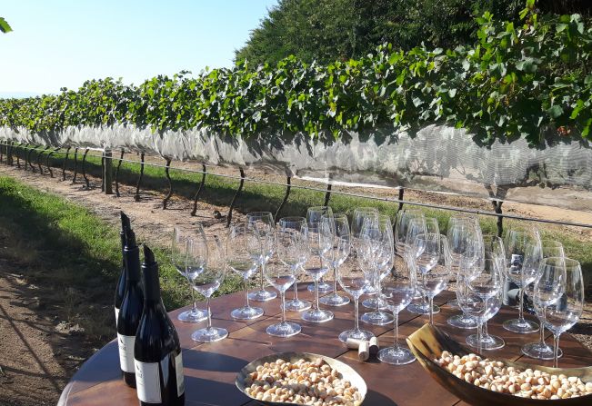 Revista EXAME destaca o potencial do enoturismo de Espírito Santo do Pinhal