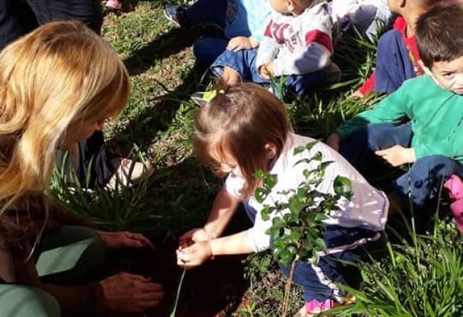 Alunos da rede municipal fizeram plantio de árvores
