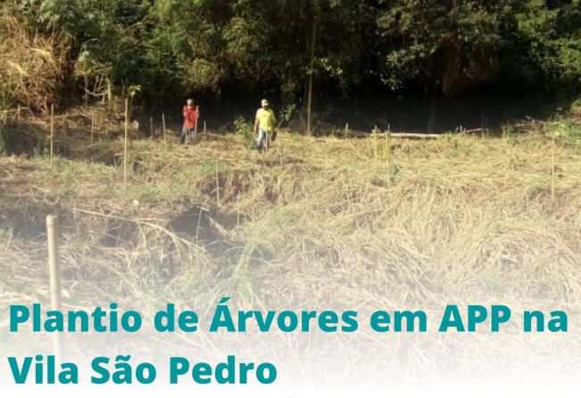 PLANTIO NA ÁREA DE PRESERVAÇÃO PERMANENTE NA VILA SÃO PEDRO