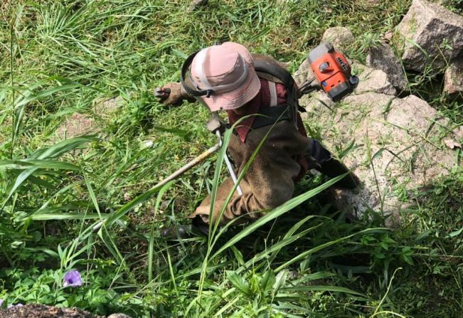 Departamento de Serviços Urbanos realiza limpeza no município