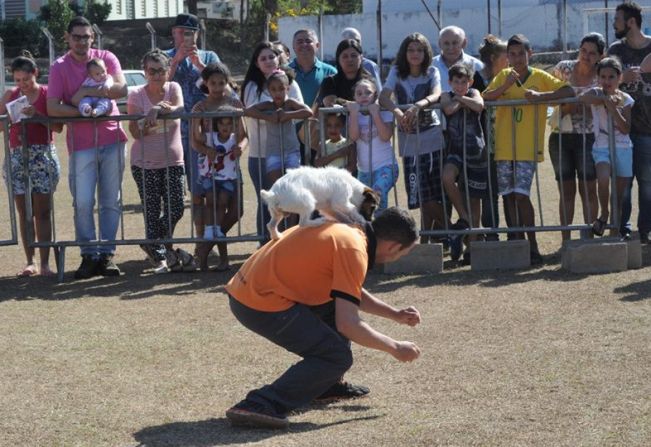 Prefeitura promove Dia da Causa Animal