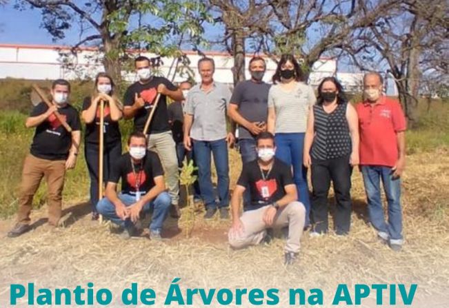 PLANTIO DE ÁRVORES NA APTIV