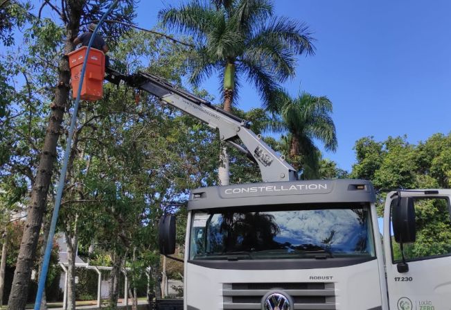 Podas de árvores e palmeiras do Lago Municipal